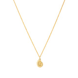 Shell Bay Necklace