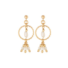 Load image into Gallery viewer, Tahiti Earrings Gold
