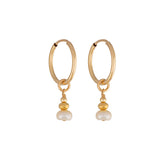 Hamilton Hoop Earrings Gold