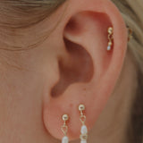Freshwater Earrings Gold